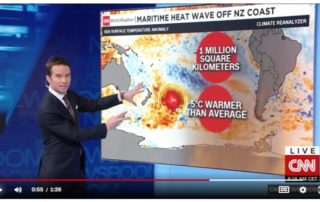 CLIMATE CHANGE NEW ZEALAND 400,000 square miles of hot sea
